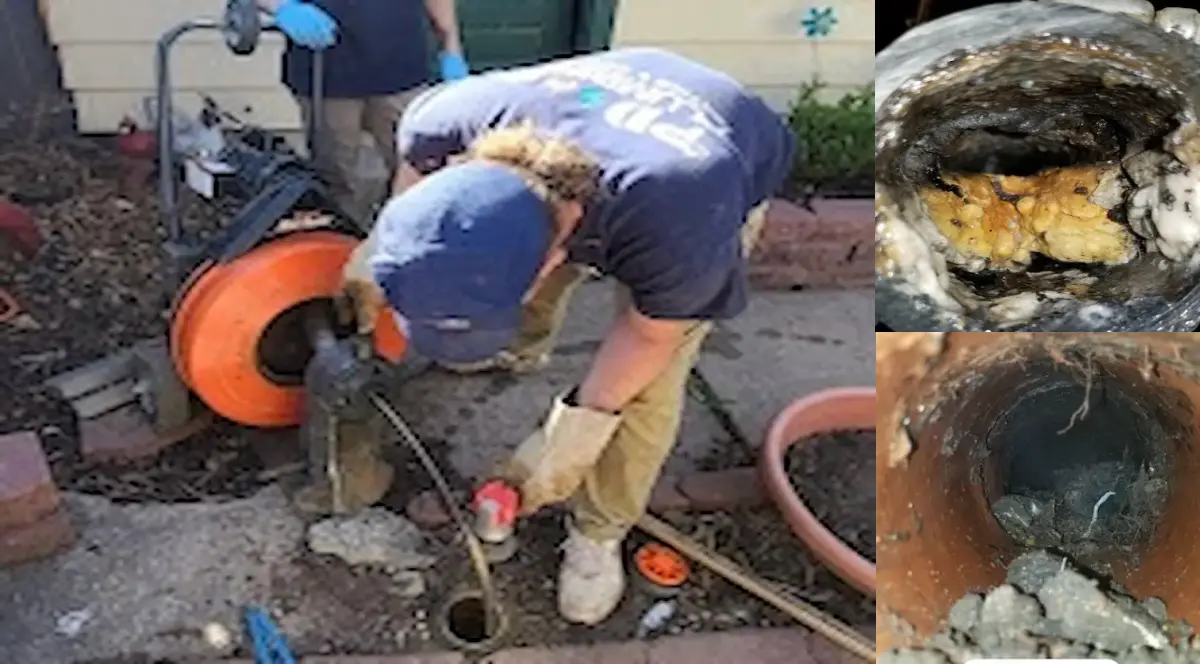 Grease, roots, and debris clogging Wichita drains